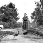 FamousPeopleFacts - Flannery O’Connor