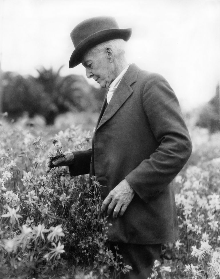 FamousPeopleFacts - Luther Burbank