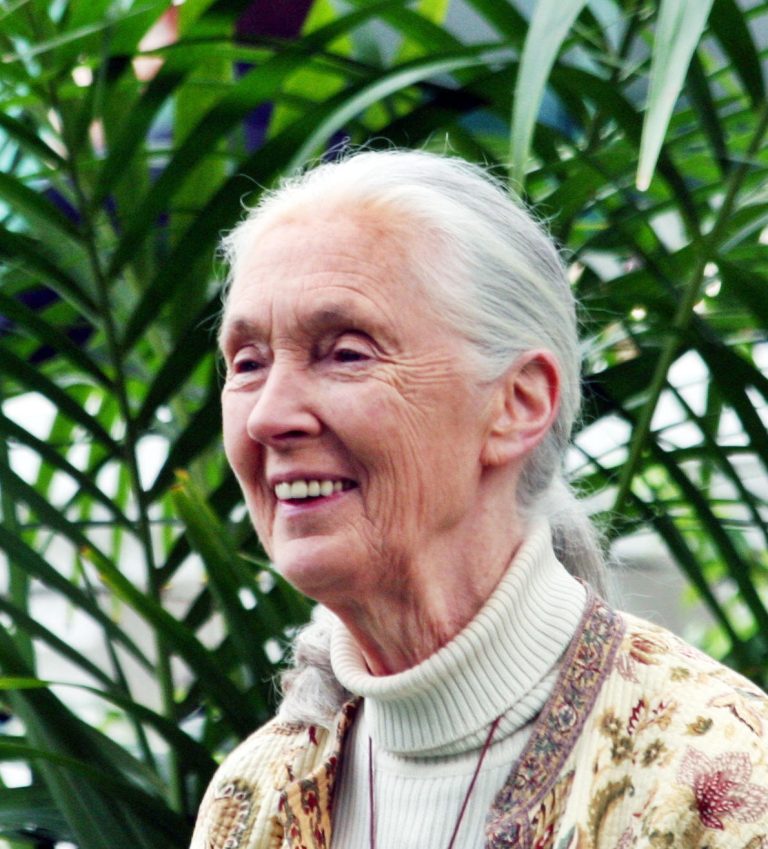 FamousPeopleFacts - Jane Goodall