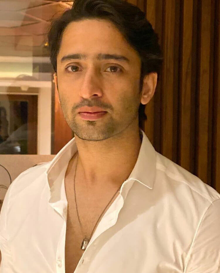 FamousPeopleFacts - Shaheer Sheikh