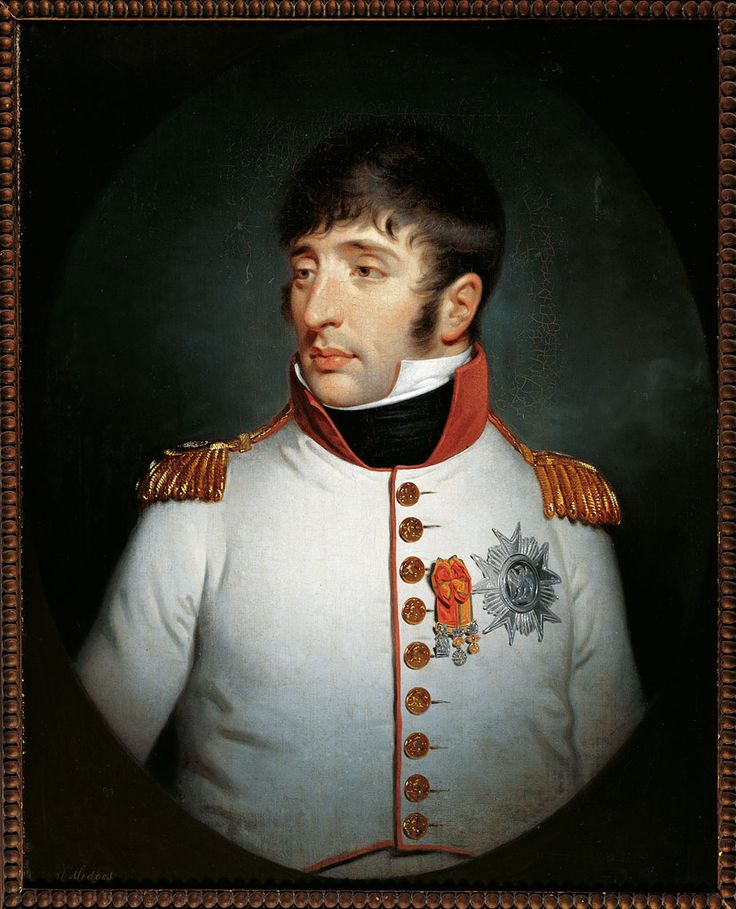 FamousPeopleFacts - Louis Bonaparte