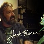 FamousPeopleFacts - Jack Herer