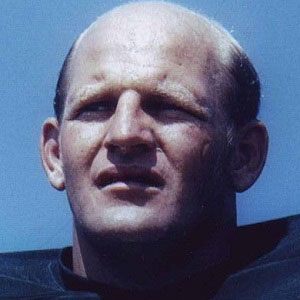 FamousPeopleFacts - Ray Nitschke